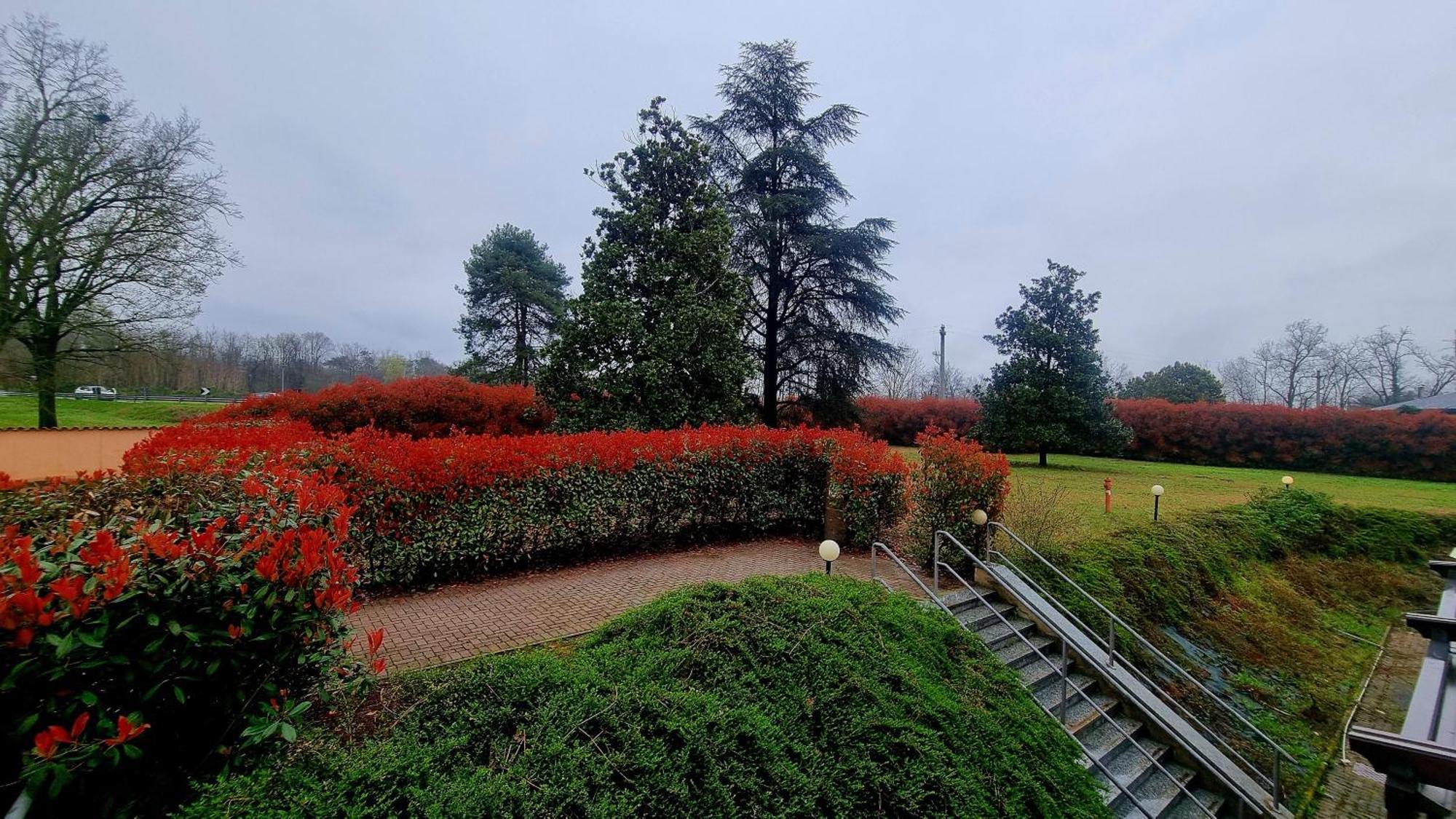Delle Rose - Malpensa Hotel Oleggio